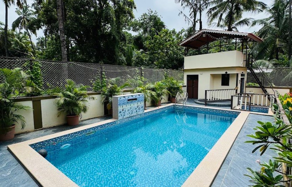 Gallery Pictures